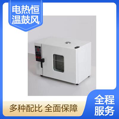 新款实验室用电热鼓风干燥箱 101-1电热恒温烘箱
