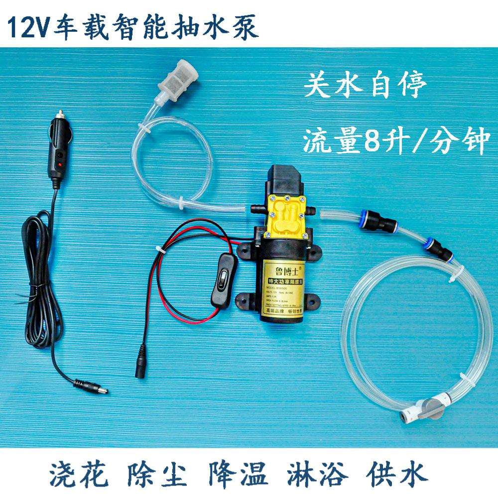 12V智能泵自吸泵抽水淋浴车载户外房车除尘降温浇花水泵关水自停