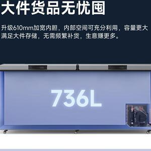 统帅哥智能系列商用冰柜冷冻柜冷柜冰箱单温冷藏雪柜冷冻柜
