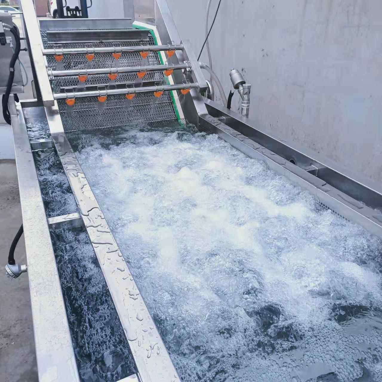 卷心菜类气泡清洗机全自动蔬菜水果鼓泡清洗机臭氧去农残洗菜机