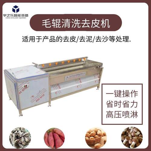 海蛎子牡蛎生蚝扇贝毛辊清洗机 喷淋式毛辊式清洗机