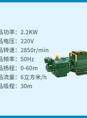 螺自吸泵家用泵2杆水26190V高扬程抽水泵深井自来增压高扬程抽水