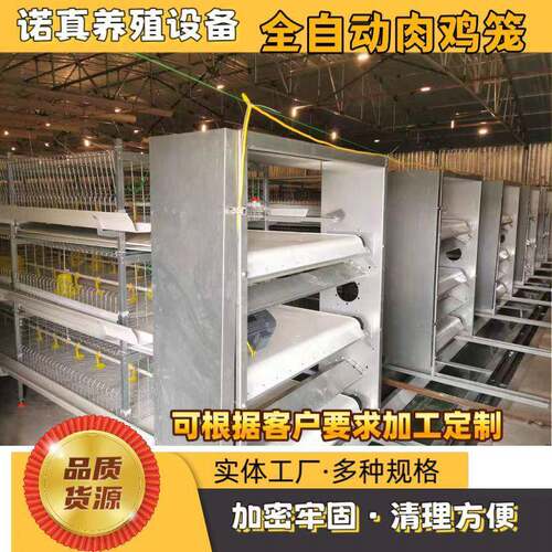 现代化养殖场全自动喂料肉鸡笼自动化鸡鸭鹅养殖线养鸡设备厂家