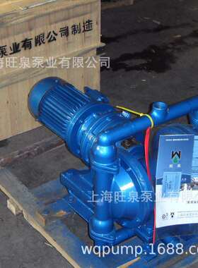 厂家直销上海旺泉DBY-40电动隔膜泵