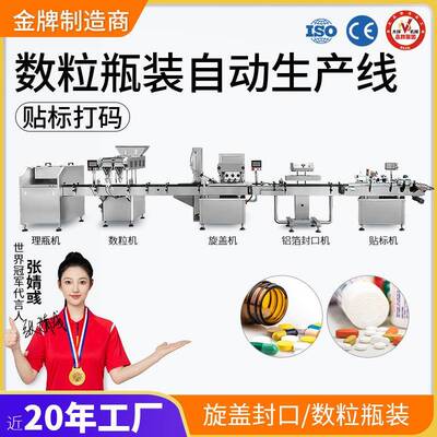 大祥数粒瓶装线 瓶装数粒生产线 理瓶灌装封口贴标数粒瓶装生产线