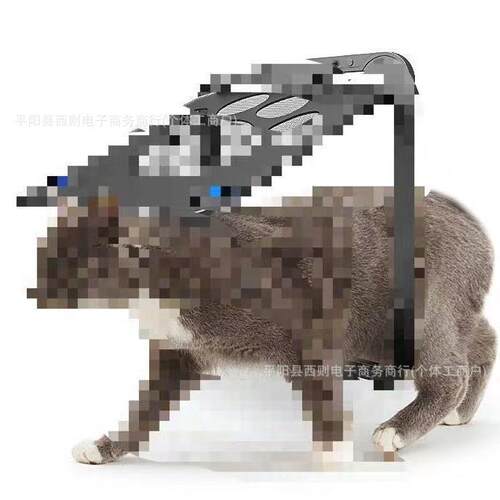 新款宠物动物门猫门洞狗门洞纱窗安装自由出入 宠物用品