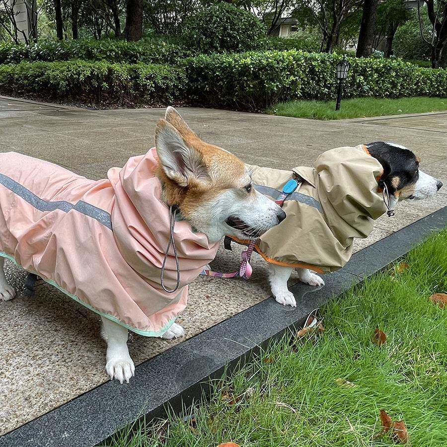 大型犬猫柯基雨衣行走安全反光条雨披四季通用短腿外出防水衣服