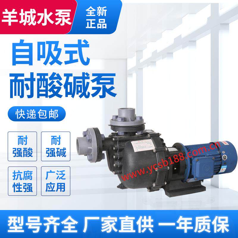 化工环保污水大头泵耐酸碱自吸循环废水提升氟塑料离心自吸泵厂家