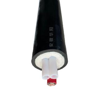烟气采样管FHT-D42-B2Φ8-bg-v-o伴热管缆伴热采样复合管双芯伴
