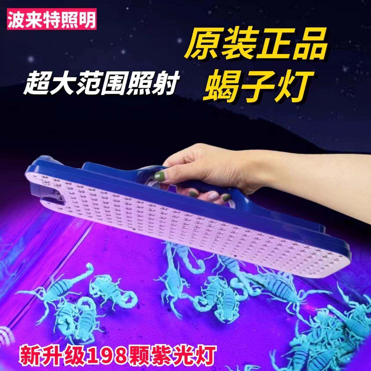 波来特蝎子灯大平板紫光灯照蝎灯豆丹豆虫灯手提灯充电超亮长续航