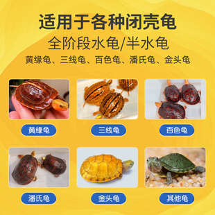 绘彩黄缘龟饲料闭壳龟粮安缘半水乌龟发色石金钱龟中华草龟专用粮
