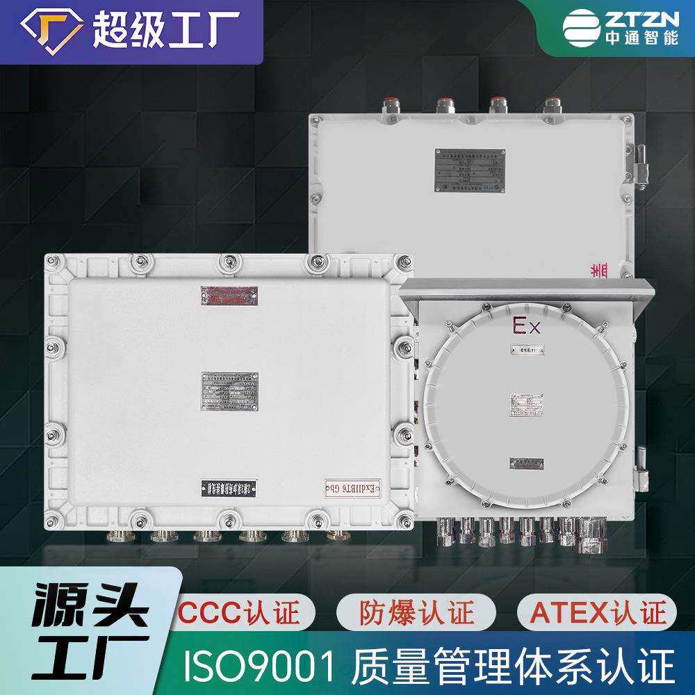 防爆接线箱配电箱明关动力控制柜按钮开箱仪检修端子表箱zt01照柜