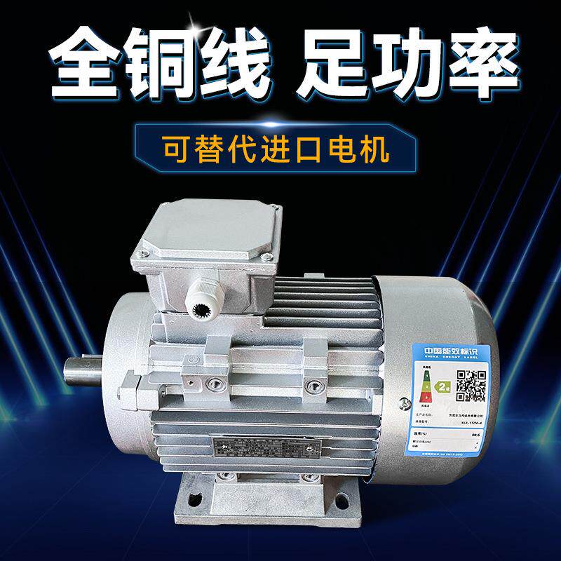 台湾力邦3KW陶瓷机械电机 抛光机械电机 铝壳电机电动机
