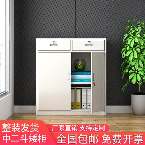 二斗矮柜办公室文件柜带锁抽屉收纳铁皮柜家用阳台收纳柜工具柜子