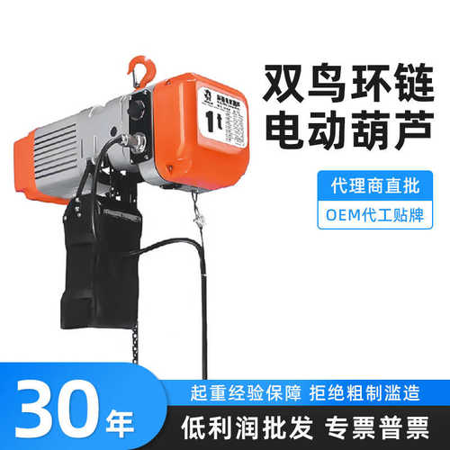 双鸟牌电动葫芦链条起重提升机1吨2t3T5t鬼头款SHH-A型环链电葫芦