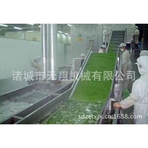 供应天翔出售蔬菜杀青生产线|食品蒸煮设备售后保障