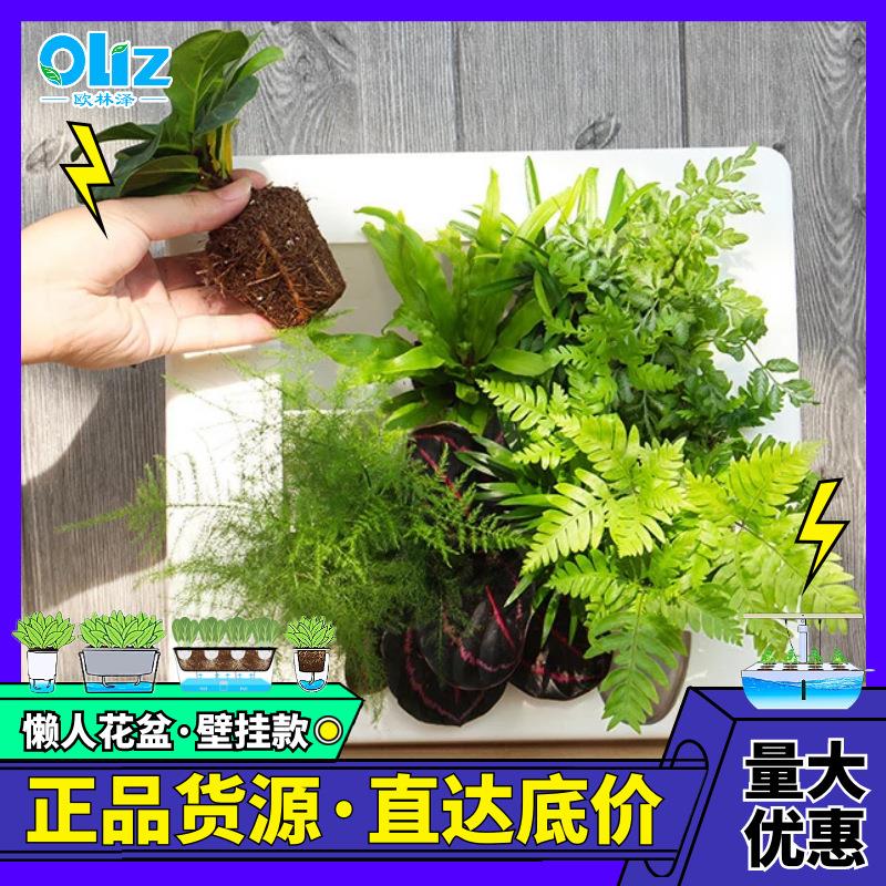 厂家现货 相框壁挂K跨境 DIY微景观多肉懒人花盆 ins创意摆件客厅