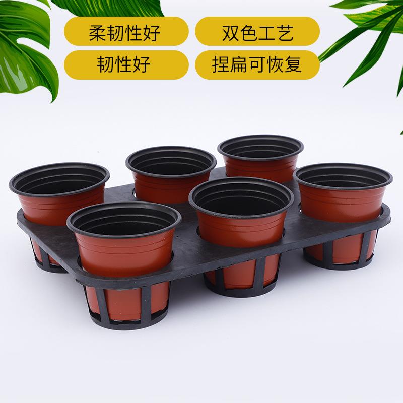价品销售001双色多肉花盆绿植园艺用塑料简盆育苗易厂盆植物