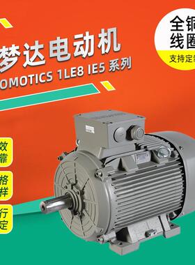 电机 1LE8 IE5能效系列低压交流异步电动机