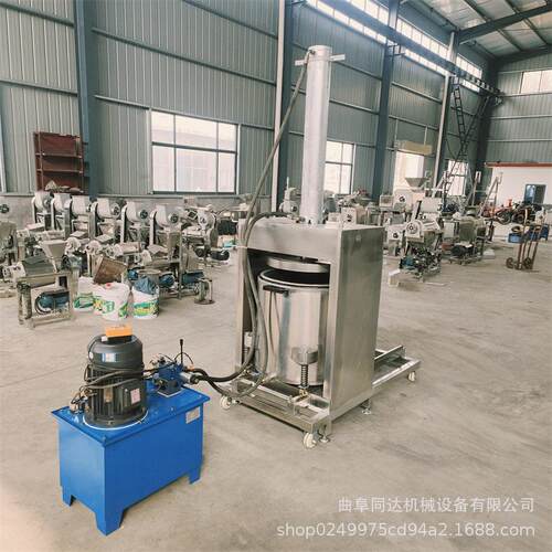 大型压榨机西梅渣桑葚山楂白菜芦荟液压脱水304不锈钢工业设备