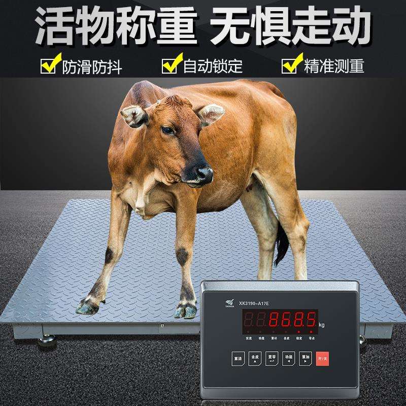 上海耀华加厚地磅秤1-3吨5MM高精度工业5吨小型地磅称畜牧围栏