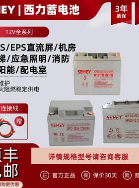 SEHEY西力蓄电池NPG40-12V7AH17AH20AH24AH38AH40AH65AHUPS直流屏