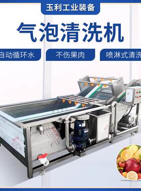 气泡清洗机商用果蔬清洗机压喷淋鼓泡海鲜洗菜不锈钢清洗设备