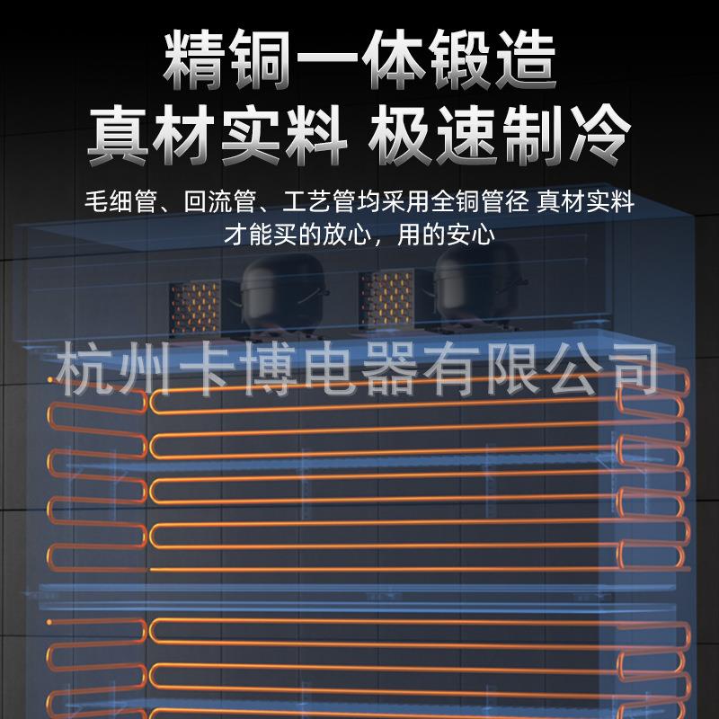 全钢铜管商用冰箱立式不锈钢大容量水果蔬菜冷藏保鲜柜节能静音