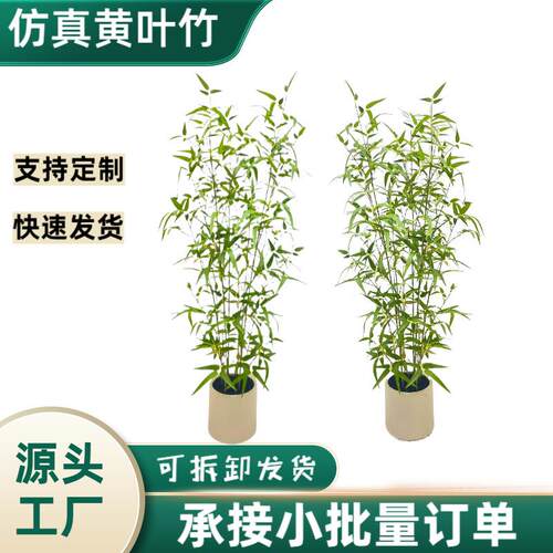 真竹子室内装饰假隔断屏风挡墙造景室外竹盆栽加密绿植仿真真
