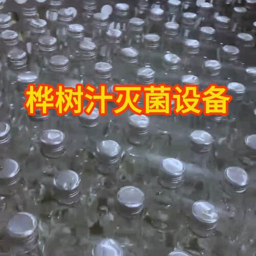 白桦树汁高温杀菌锅玻璃瓶饮料高压灭菌釜设备喷淋杀菌釜厂家