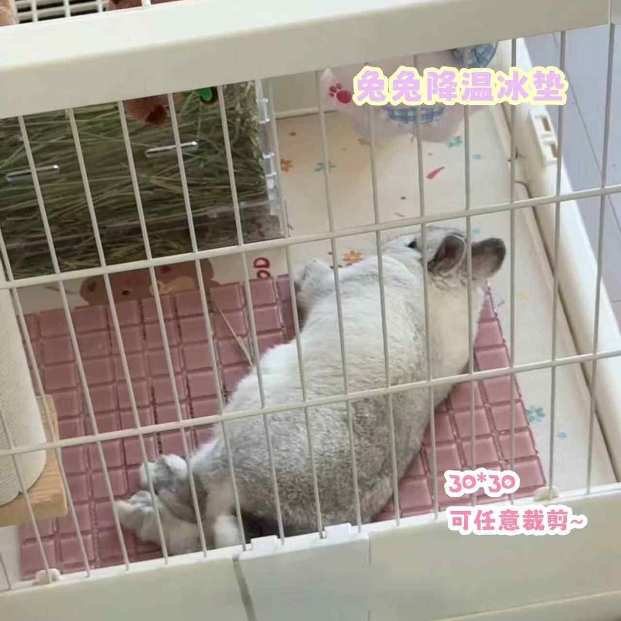 兔子趴趴垫仓鼠降温冰垫龙猫冰窝夏天散热消暑凉席子荷兰猪降温板