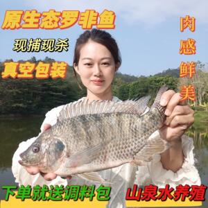 广东鱼肉新鲜鱼农家罗非鱼非洲鲫活鱼现杀非冷冻活体淡水海鲜500g