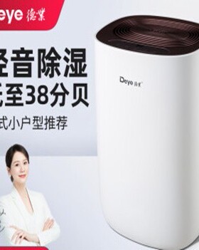 DYD-S12A3智能静音除家用除湿机使用面积15-30㎡除湿量12L/D