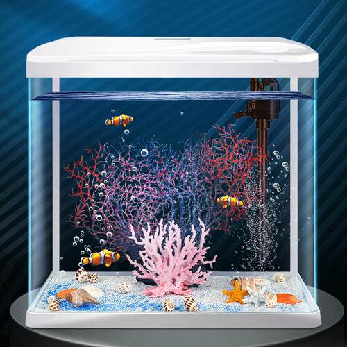 鱼缸2025自循环金鱼缸玻璃小型桌面客厅家用懒人免换水生态水族箱