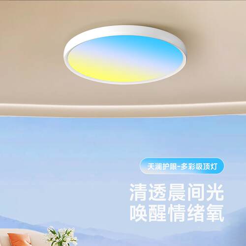 【天空之222境云卧室吸顶全光谱智能蓝天白动态自然光LE】D天境灯