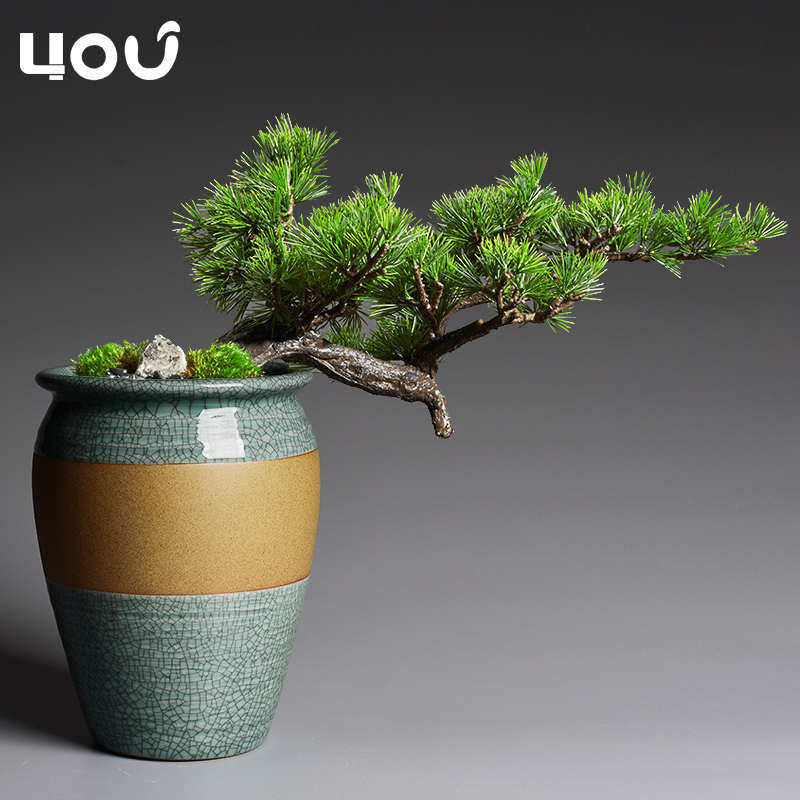 粗陶花盆陶瓷哥窑陶罐多肉植物法师老桩大号高家用盆景盆,鲜花速递/花卉仿真/绿植园艺,花盆,淘宝优惠券,粉丝福利购,淘宝优惠卷