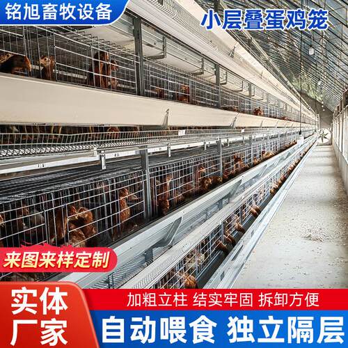 热镀锌小层叠蛋鸡自动化畜牧养殖设备经济型框架式叠式养鸡笼
