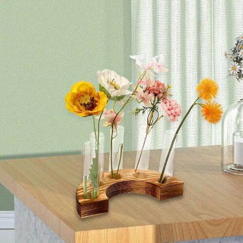 Plant Propagation Station Plant Terrarium Glass Test Tube