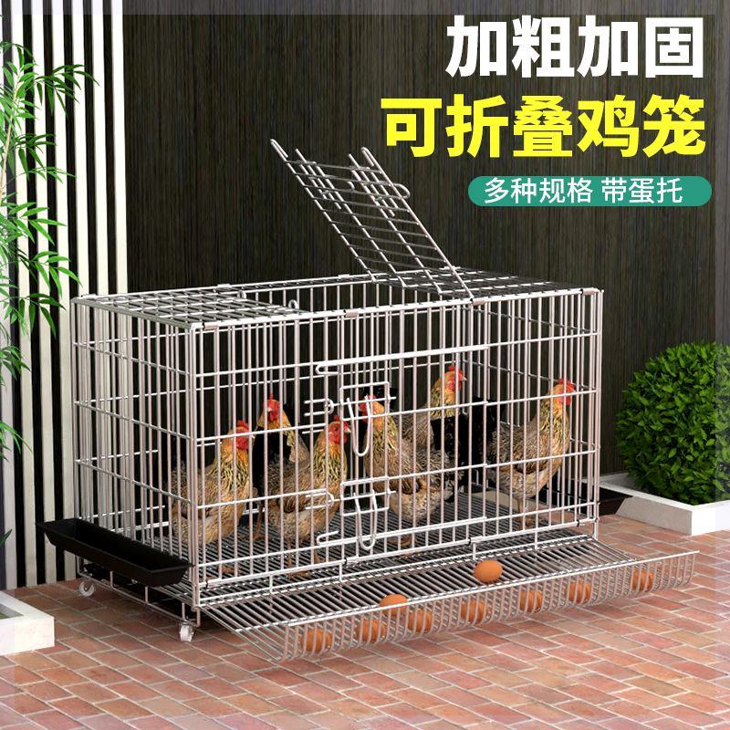 鸡下蛋的笼子家用蛋鸡笼鸡舍大号养殖笼家禽鸭鹅鸡窝折叠自动滚蛋