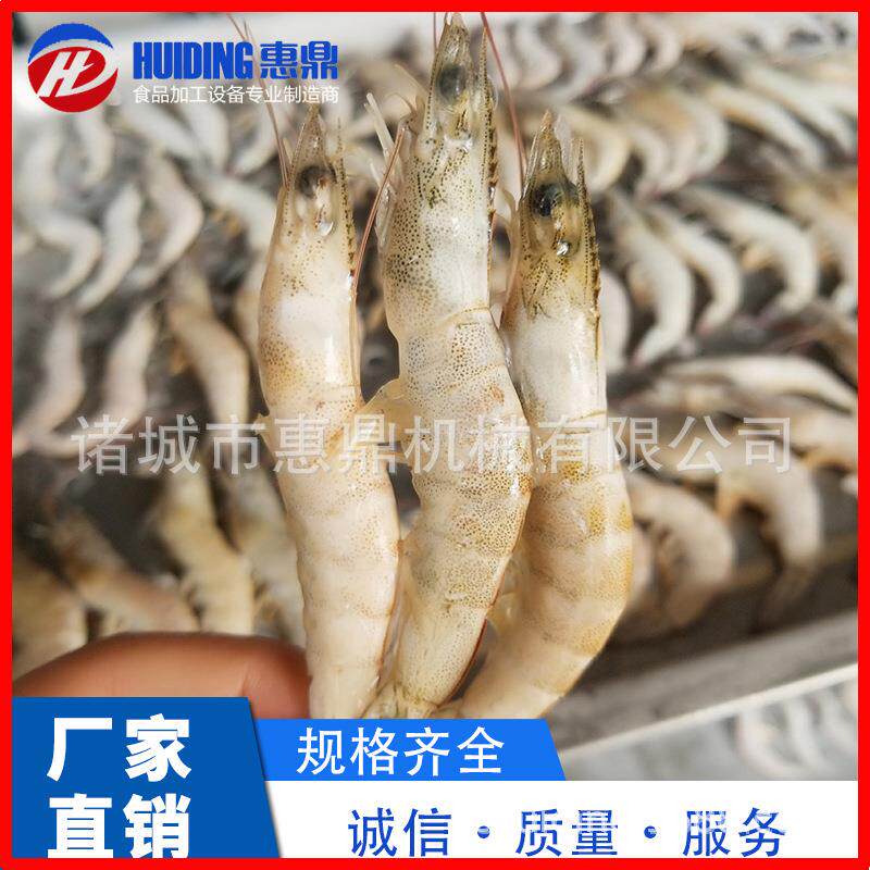 供应海鲜挂冰机大黄花鱼包冰衣机自动降温挂冰机机械