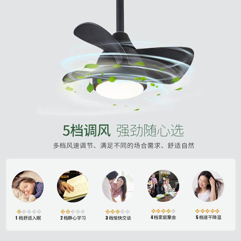 24寸北欧风扇吊灯 卧室客厅led风扇灯 北欧静音吊扇灯 质保十年