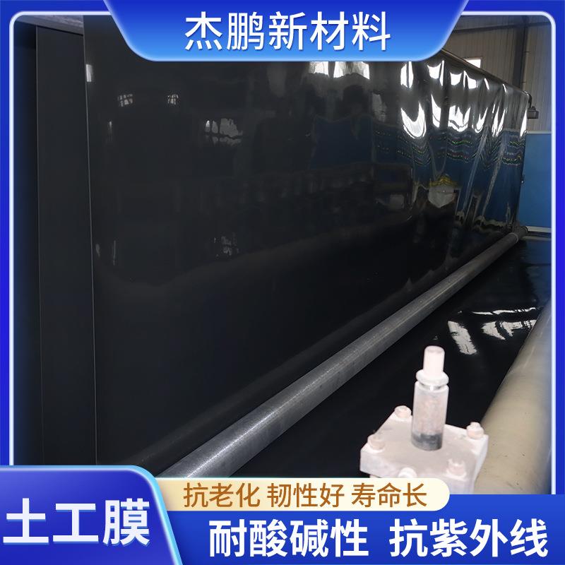 土工膜沼气池鱼塘养殖防渗膜土工膜尾矿处理hdpe土工膜厂家