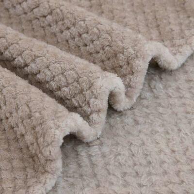pure flannel coral fleece blanket bed cover safa throws 毛毯