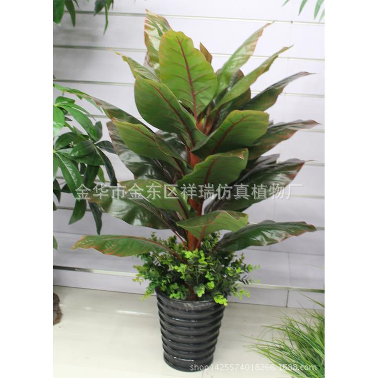 仿真植物树叶室内盆栽象腿蕉叶大美人蕉叶树非洲落地盆景绿萝