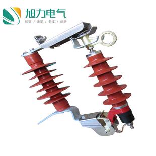 跌落式 50DL RW12防雷电设备厂家直销 避雷器HY5WS