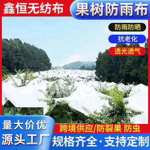 樱桃李子枇杷果园白色防雨布防晒防虫水果树专用遮雨布果树防雨布