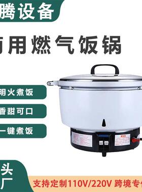 跨境出口商用大容量燃气电饭煲煤气饭煲全自动天燃气蒸饭锅