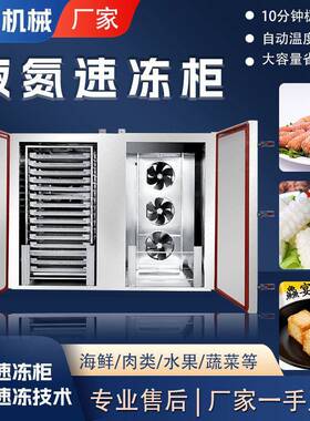 丸子加工液氮速冻柜小型立式鱿鱼卷速冻设备鱼豆腐液氮速冻柜