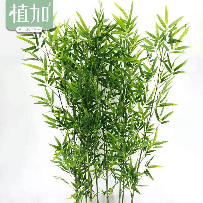仿真竹子隔断挡墙室外加密塑料仿生毛竹室内假绿植物盆栽装饰道具