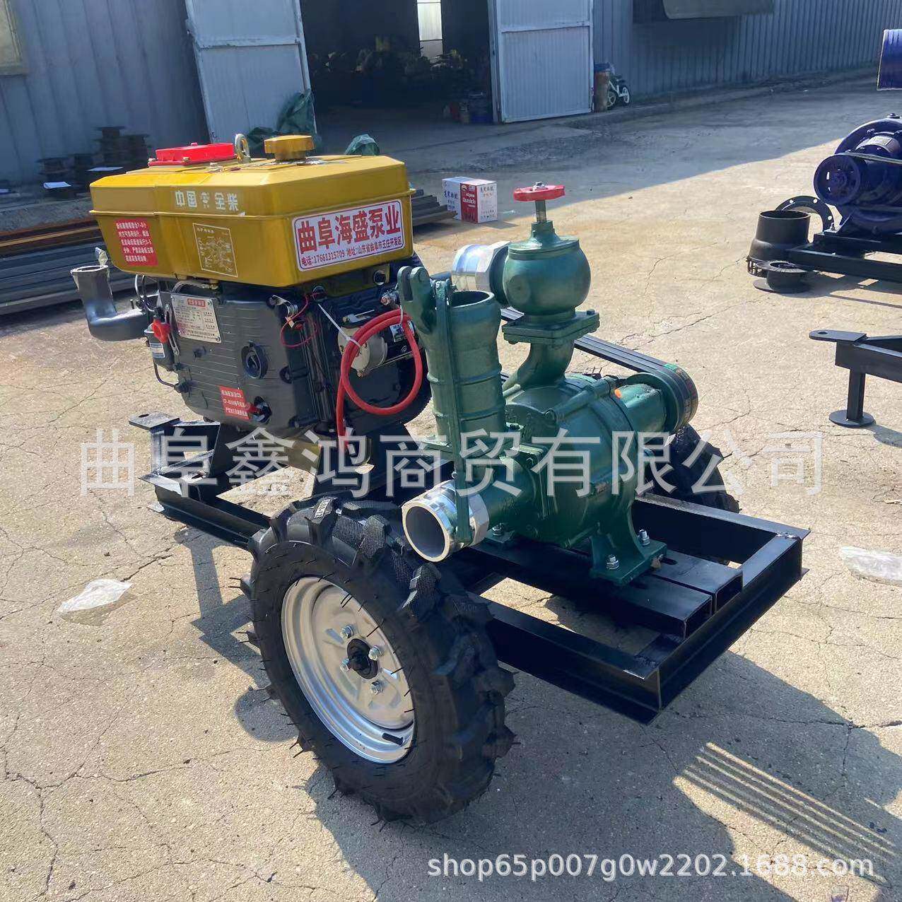高山爬坡灌溉抽水泵3寸双叶轮高压泵家用高扬程喷灌泵